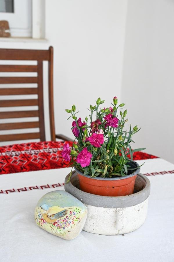 Navis Apartement interior in Triovasalos, Milos